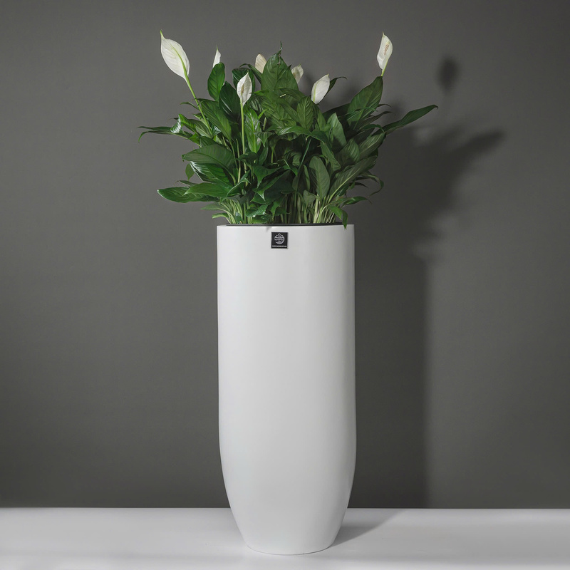 Chậu Composite tròn - Chậu Composite Kingpot -  Công Ty Cổ Phần Kingpot Việt Nam